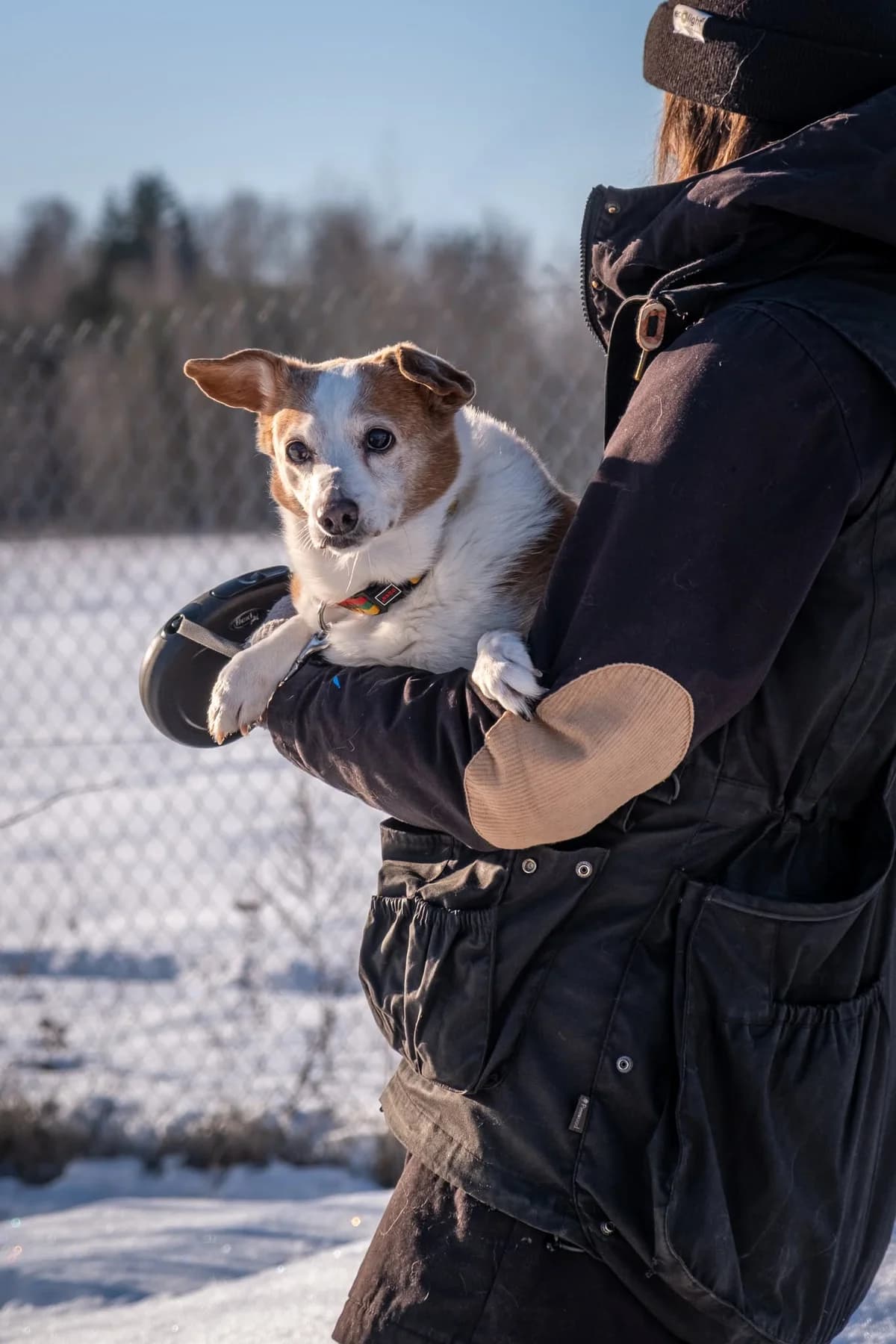Ruzlė,  senior Mixed Breed for adoption at SOS Gyvūnai, Šalčininkų r. sav.