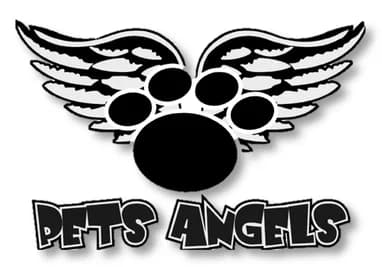 Tro,  Mixed Breed for adoption at Pets Angels Luxemburg, Luxembourg
