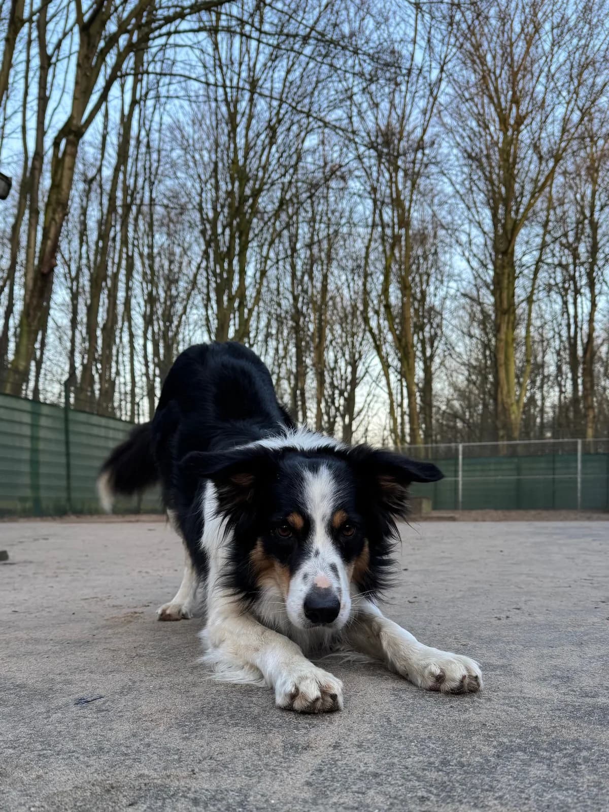 Corazon Gereserveerd photo 2