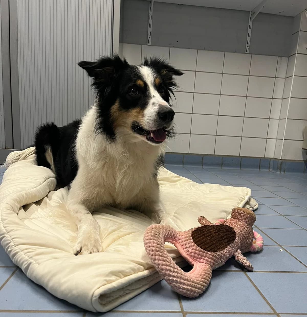 Corazon Gereserveerd photo 3