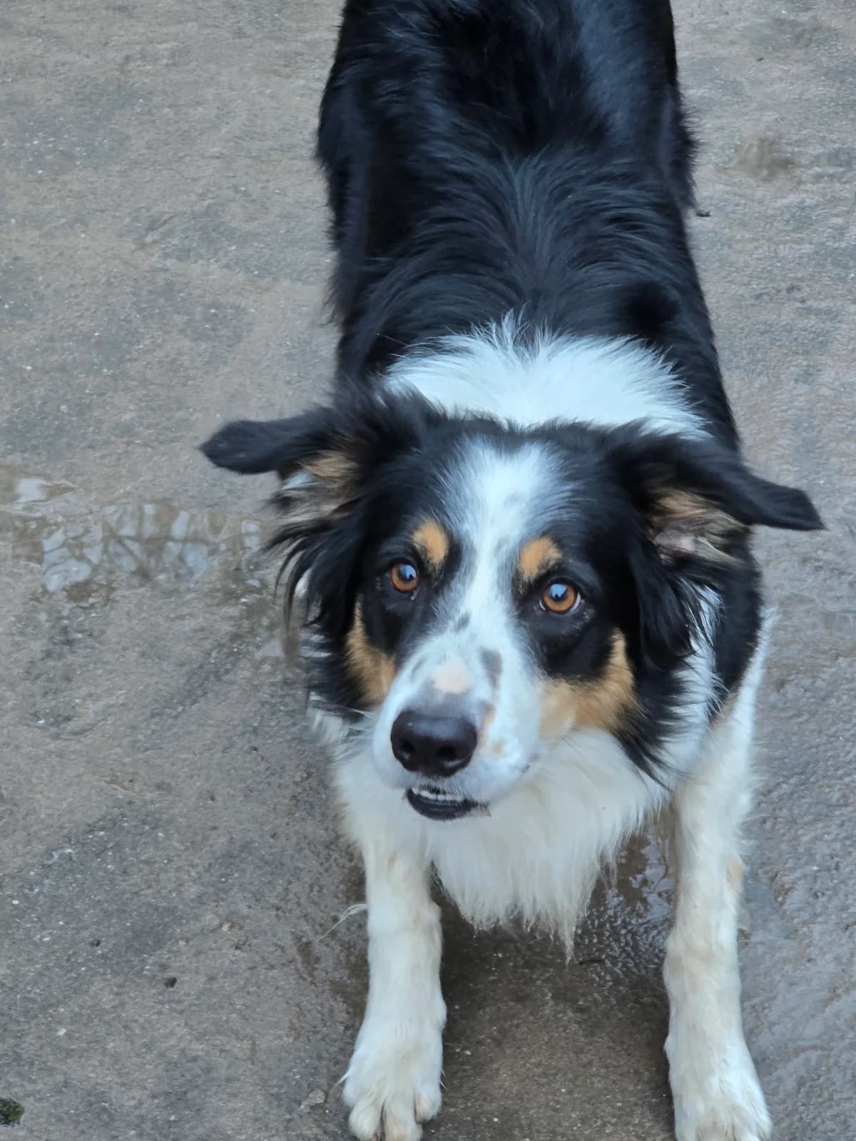 Corazon Gereserveerd photo 4