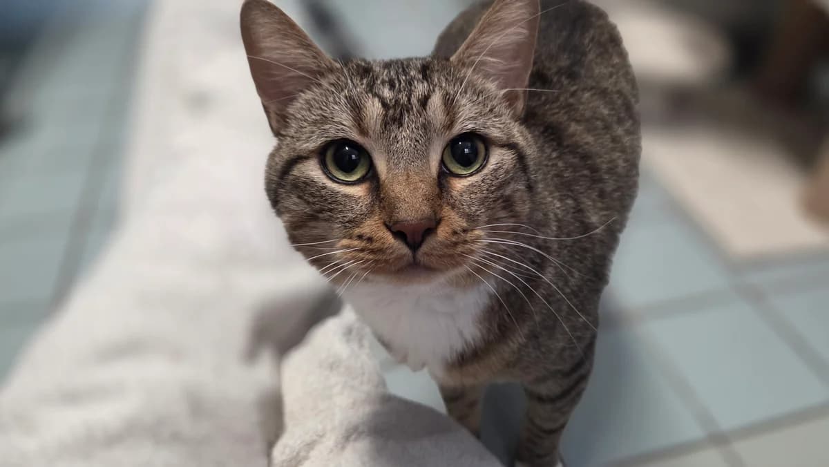 Hoezan en Mauwa photo 2