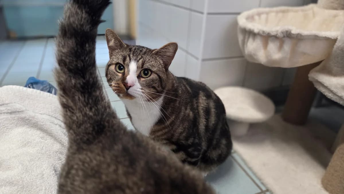 Hoezan en Mauwa photo 3