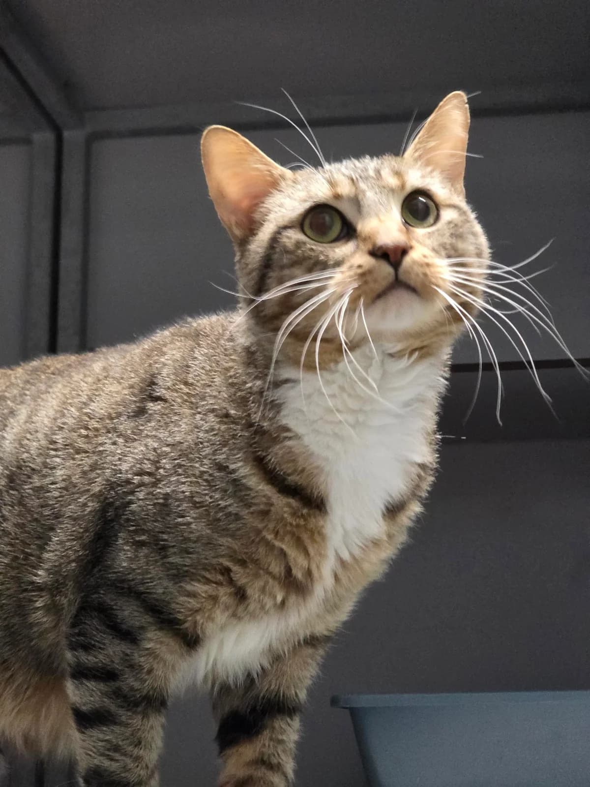 Hoezan en Mauwa photo 5