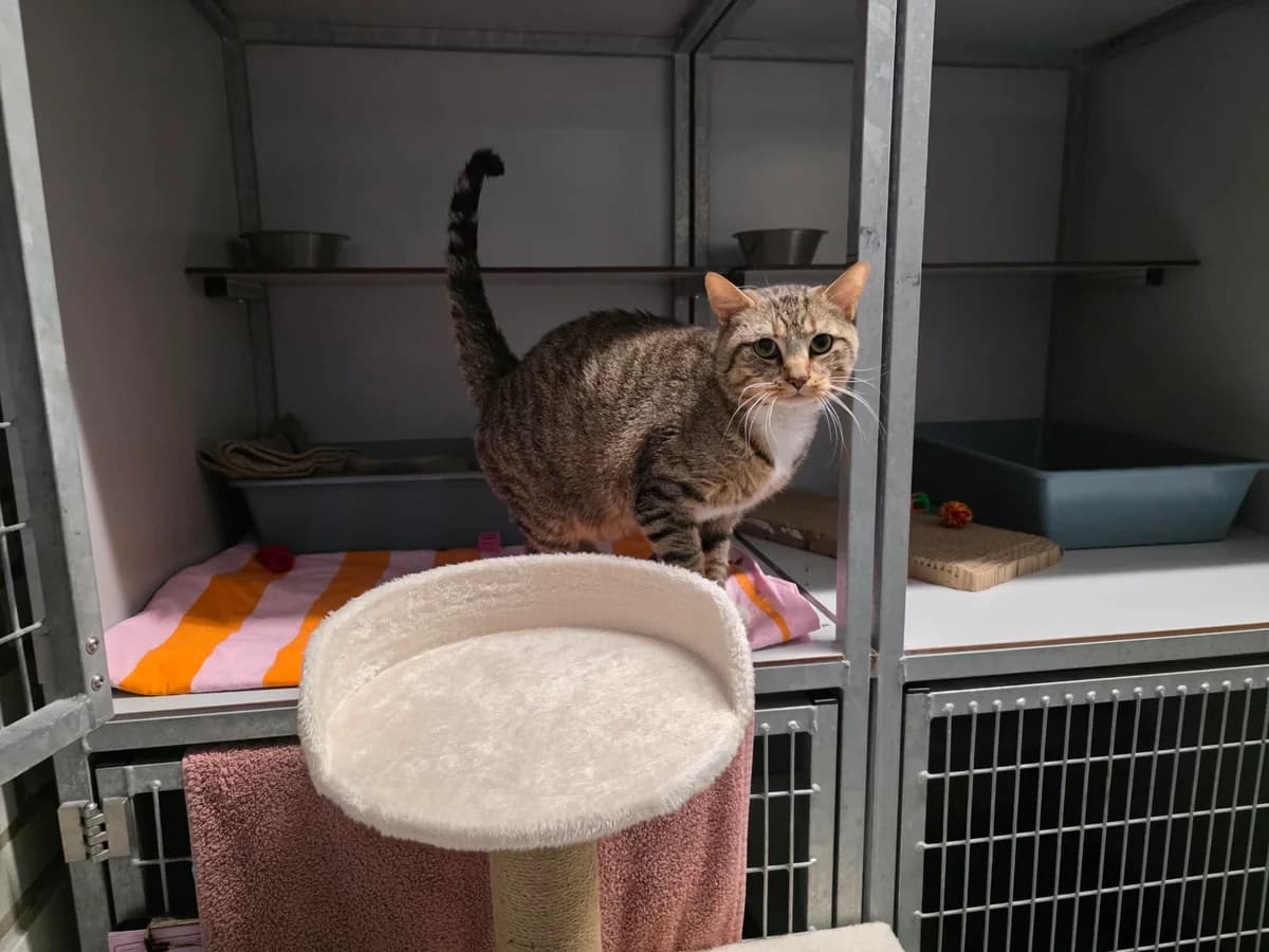 Hoezan en Mauwa photo 6