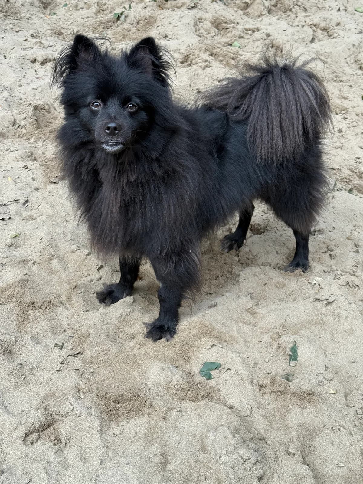 Keesje Gereserveerd photo 6