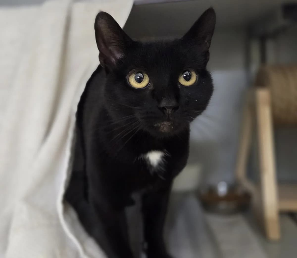 Lucia en Minimuis photo 2