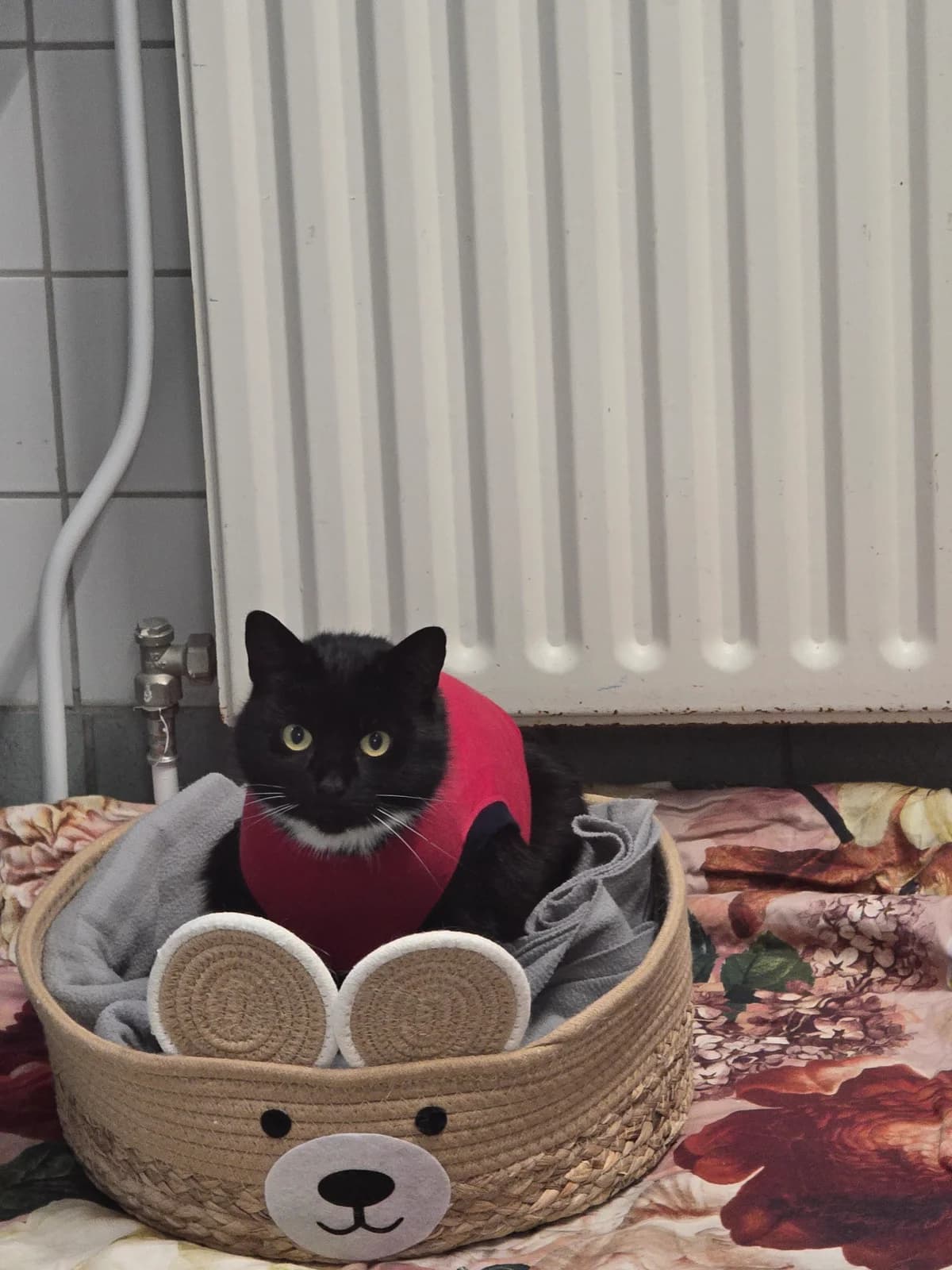 Lucia en Minimuis photo 3