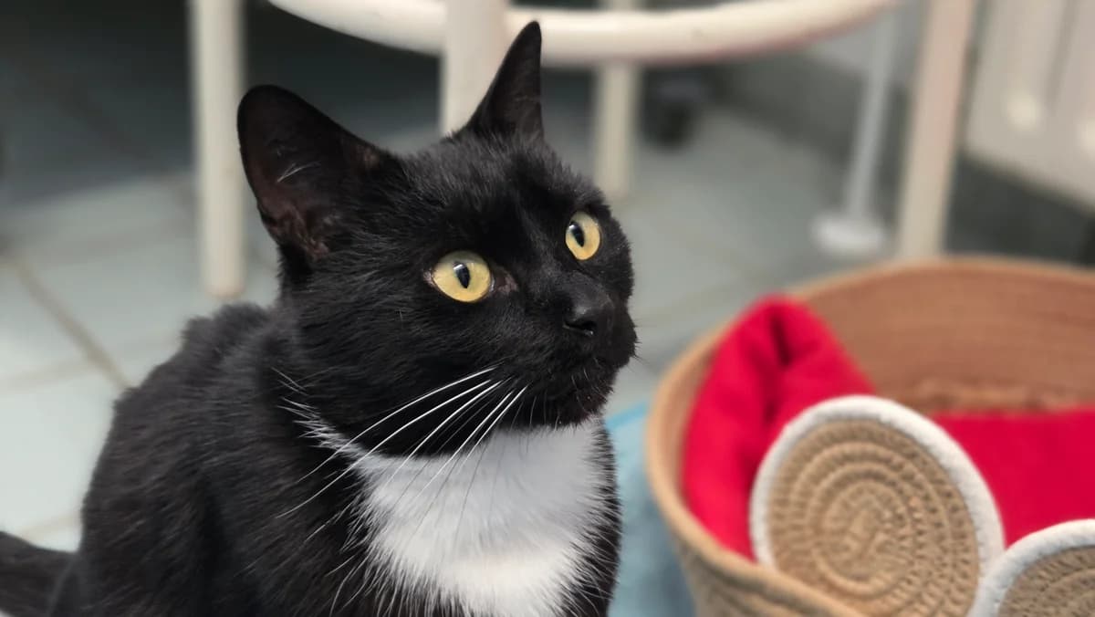 Lucia en Minimuis photo 4