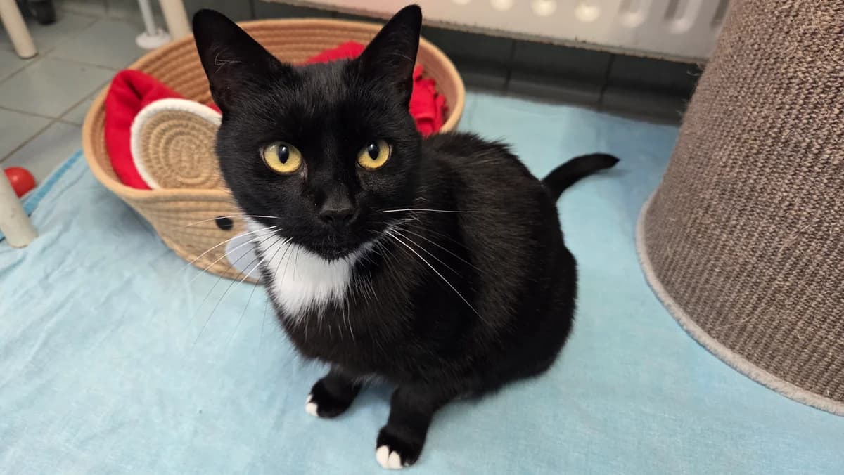 Lucia en Minimuis photo 5