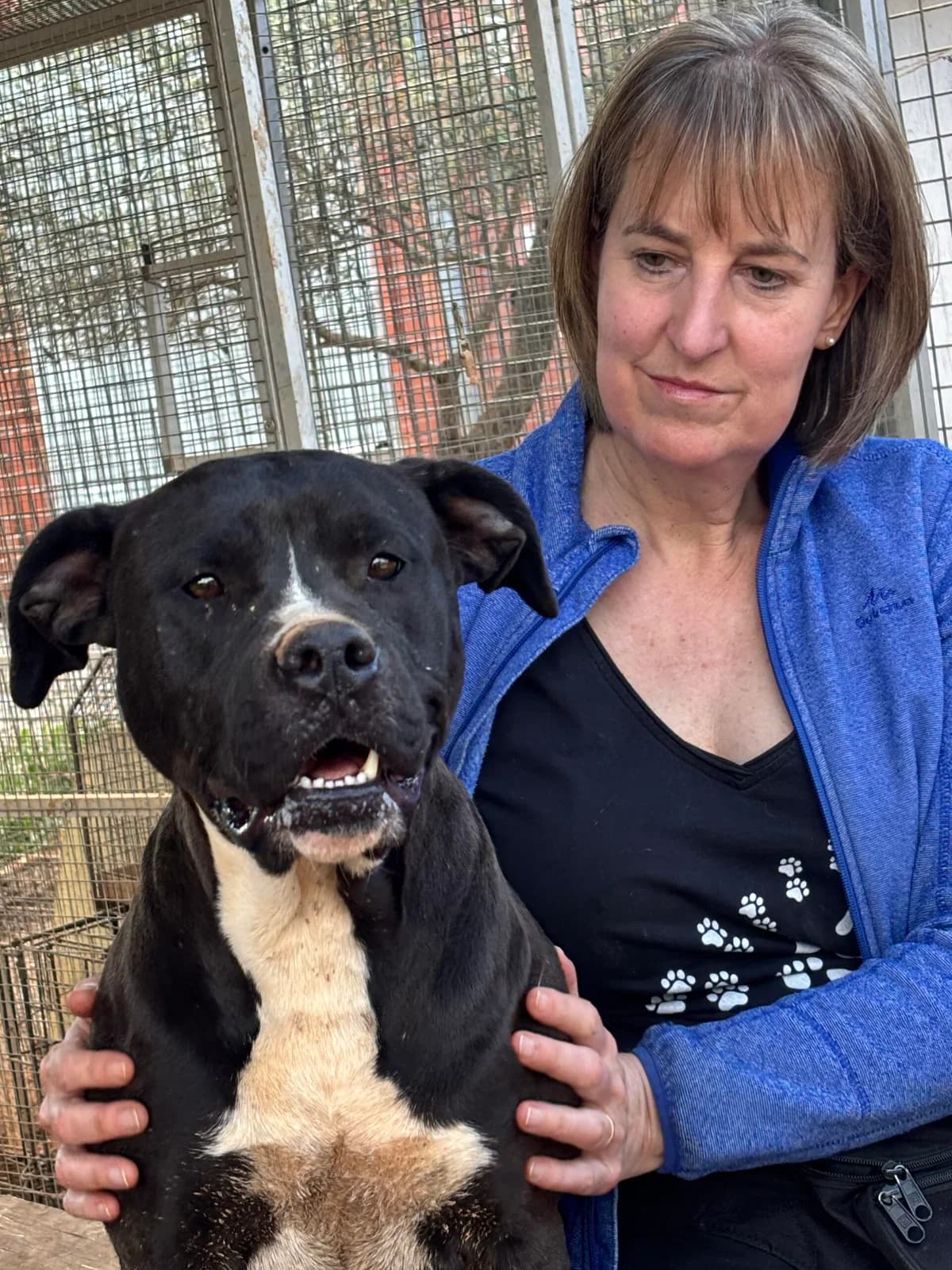 Bimba,  Mixed Breed for adoption at Stichting Hondjes en Katjes Arca