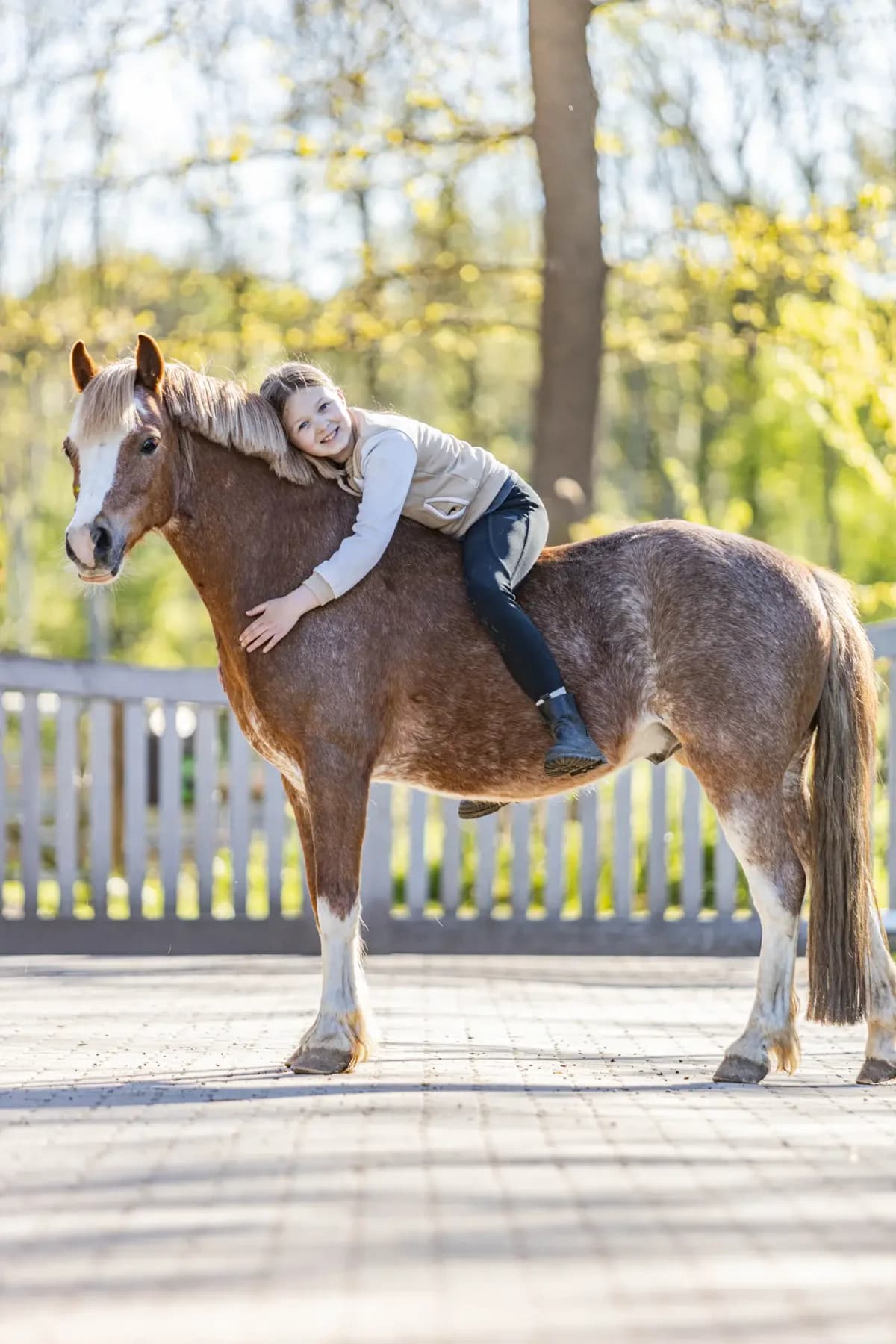 Passion, male 7yo mixed breed for adoption at Paard zoekt baas, Ambt Delden