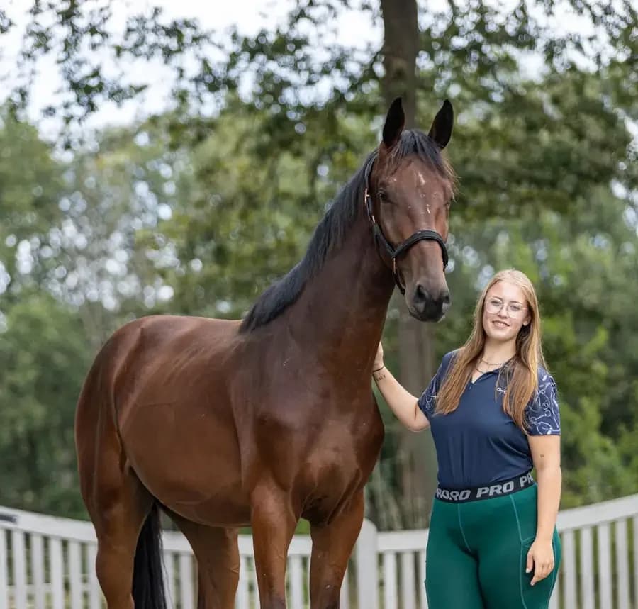 Blindy, male young mixed breed for adoption at Paard zoekt baas, Ambt Delden