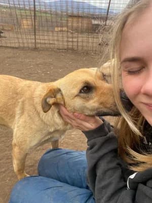 Fay, female Mixed Breed for adoption at Stichting Rescani, NL-wide