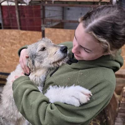 Freya, female Mixed Breed for adoption at Stichting Rescani, NL-wide