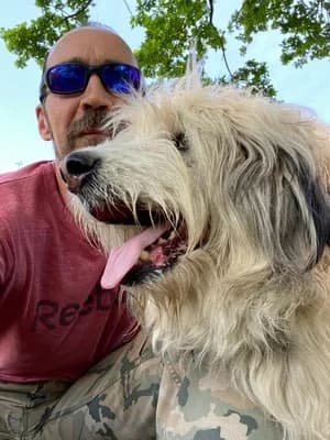 Pado, male puppy mixed breed for adoption at Stichting Rescani, NL-wide