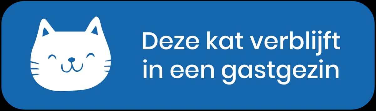 Adoptiepagina: Stark, male mixed breed for adoption at ROZE Eindhoven — photo 4 of 4