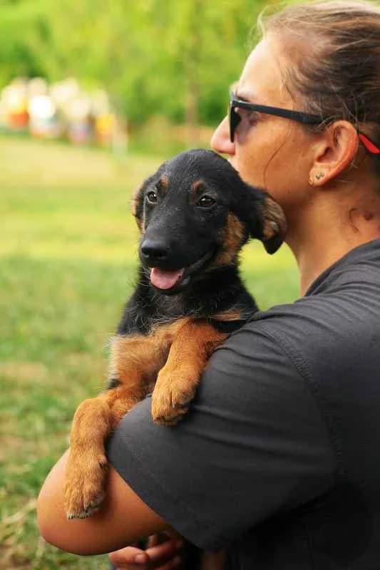 Iris ♀ pup, Mixed Breed (stichting Idemo)