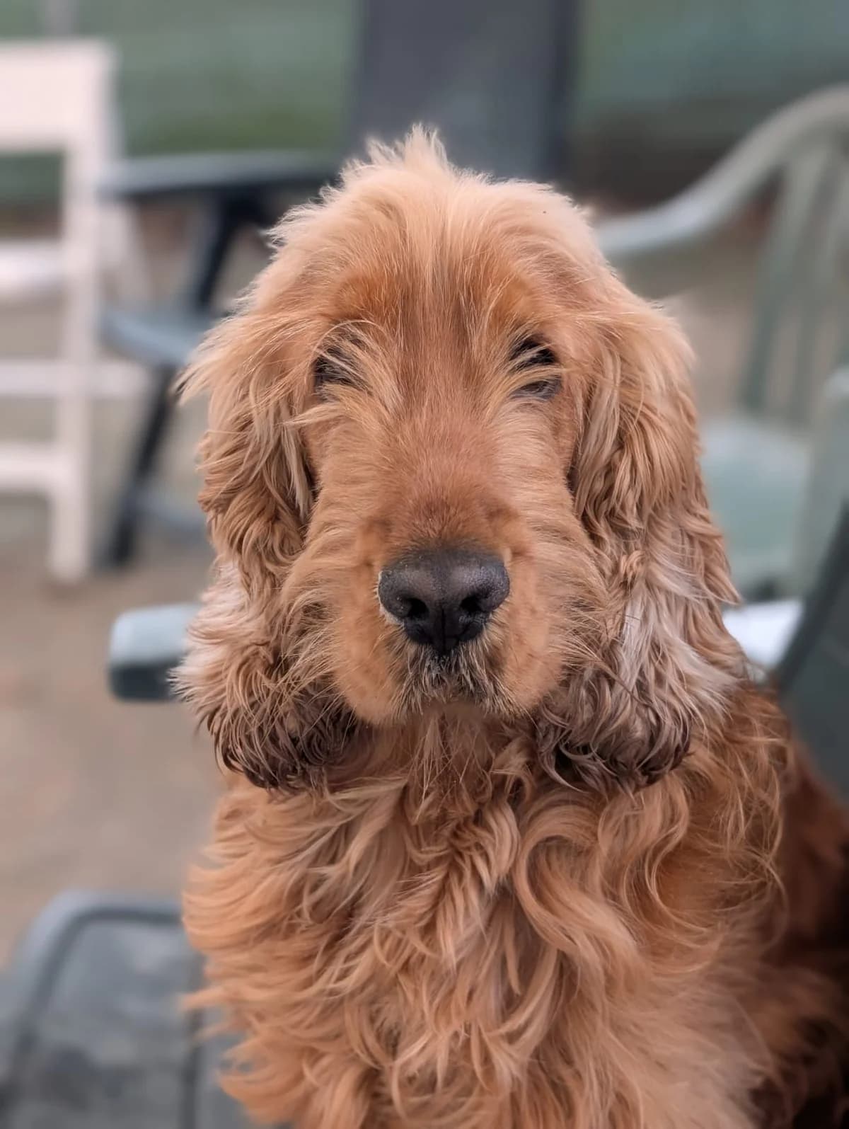 Sherlock Gereserveerd photo 6