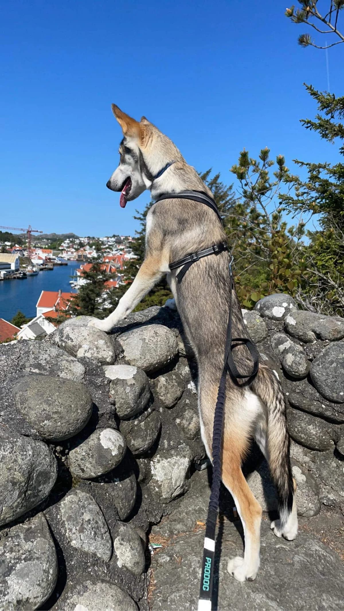 Lucki Brown – Test