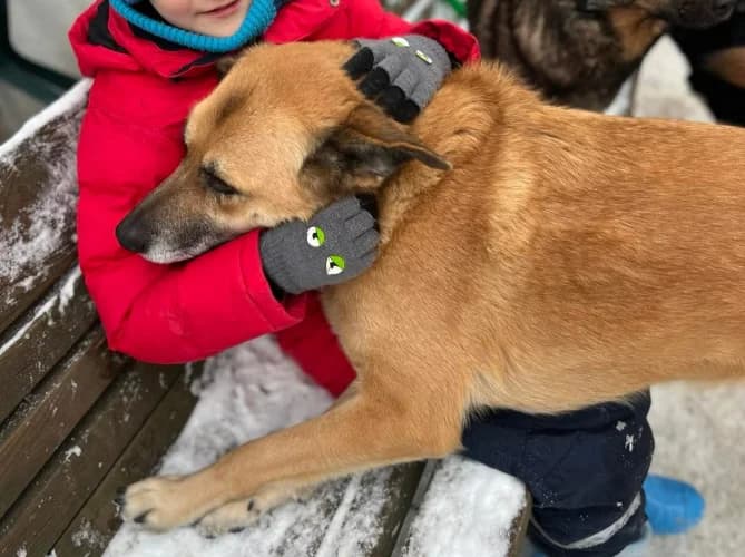 Malwa, female Mixed Breed for adoption at Ami Fundacja Pomocy Zwierzętom — photo 5 of 5