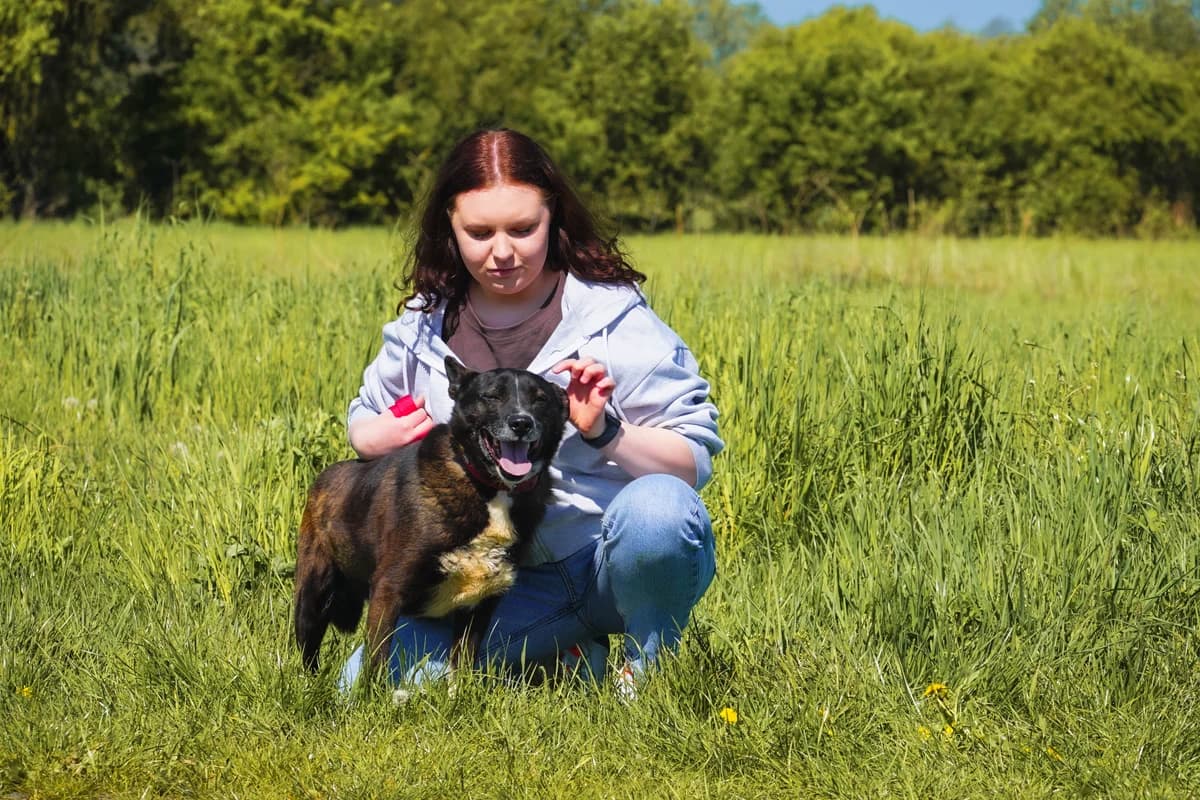 GRATIS, male senior Mixed Breed for adoption at Animal Sos Psiakowo Centrum Adopcyjne, 99-423