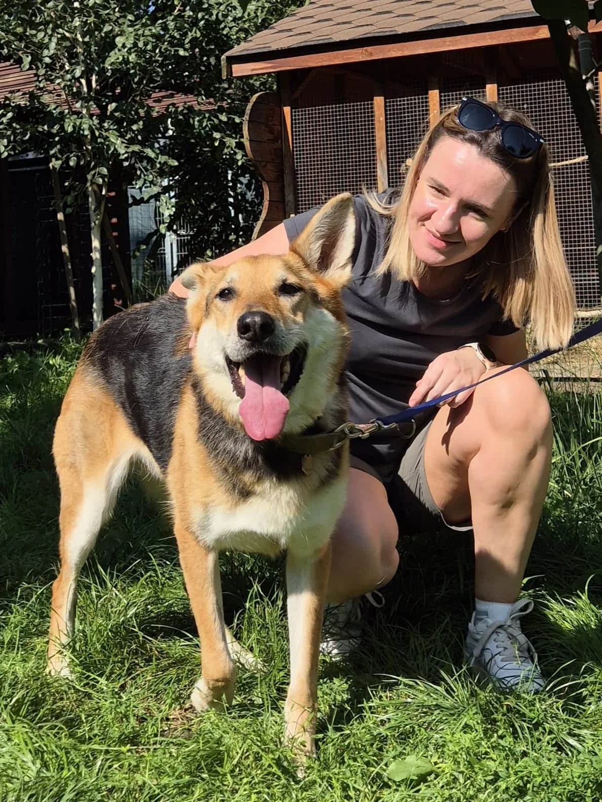 Dianka, Mixed Breed (Fundacja EkoStraż)