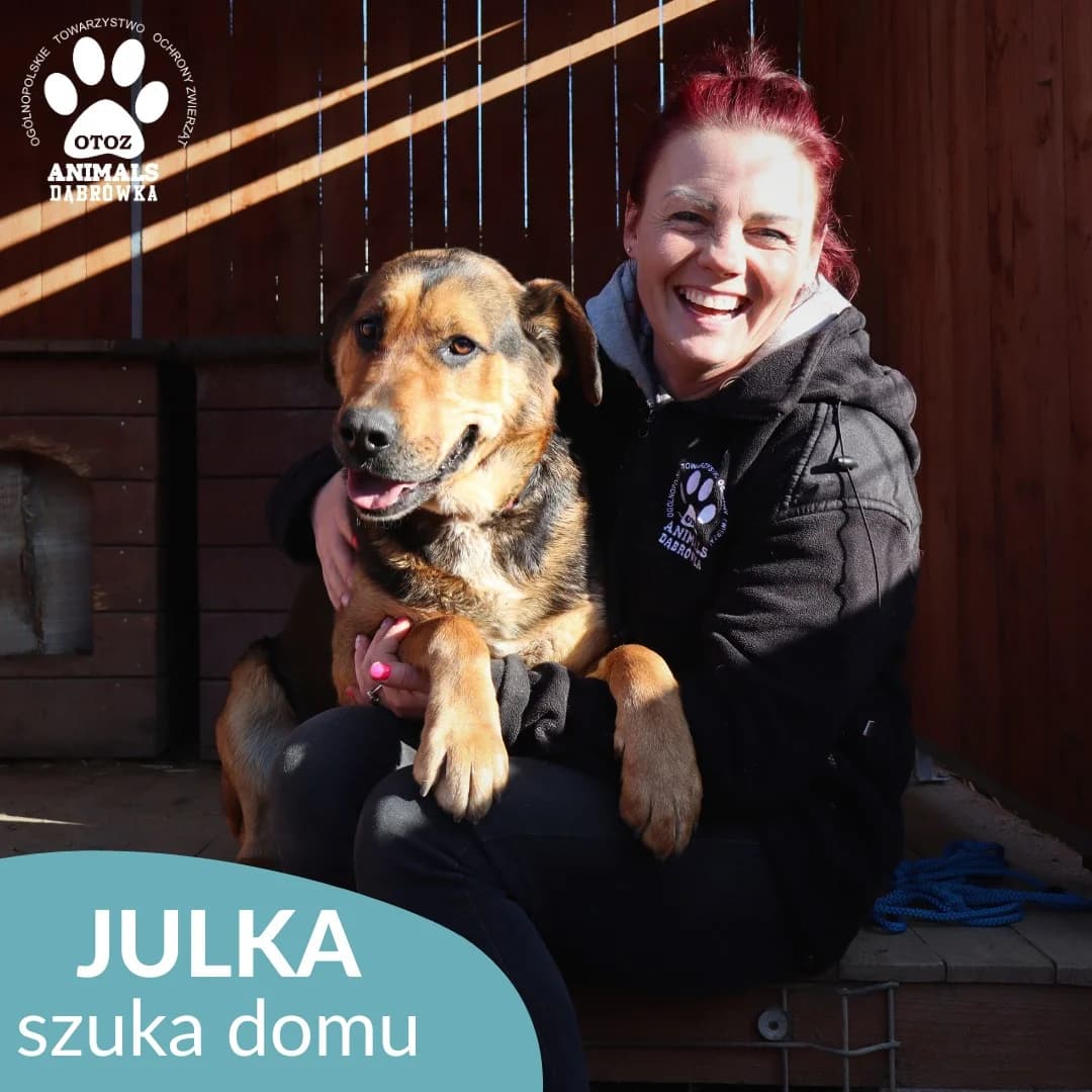 Julka, Mixed Breed (OTOZ Dabrowka)