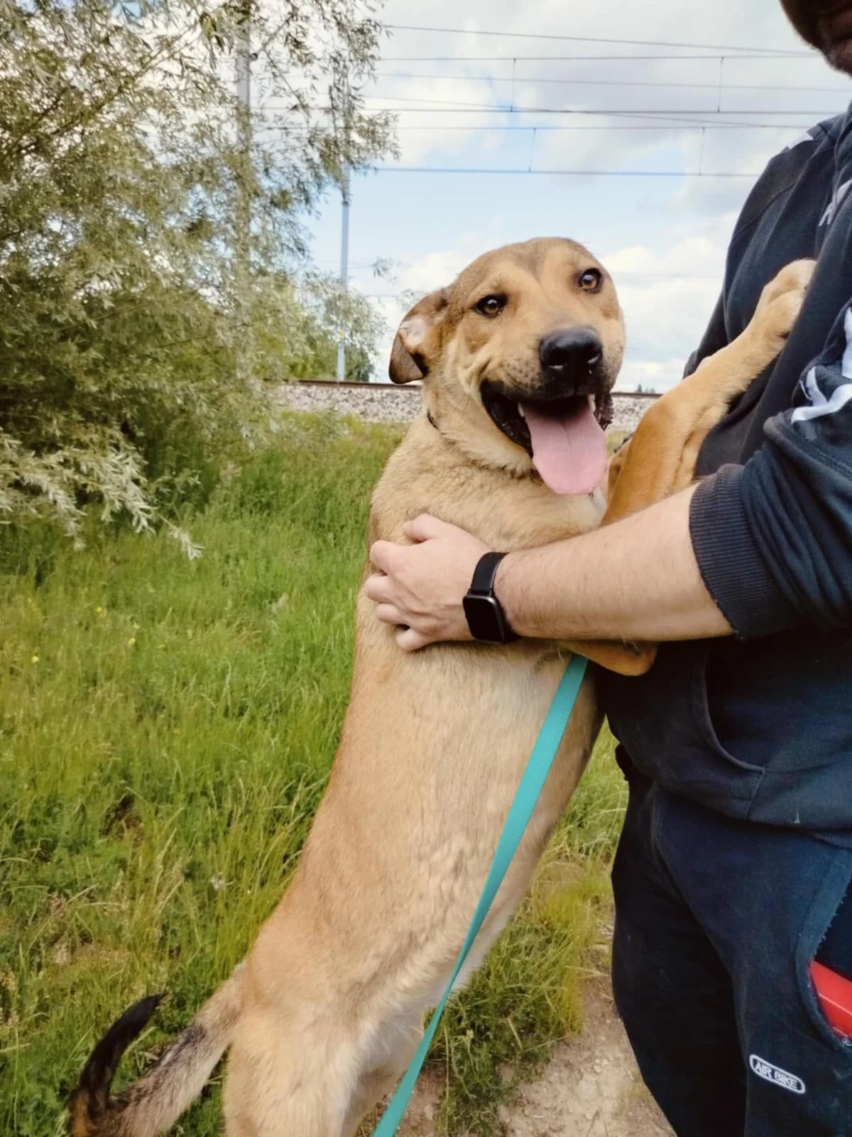 Frela, female young Mixed Breed for adoption at Schronisko dla Zwierząt Ciechanów