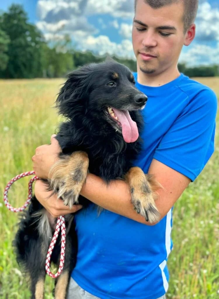 Dorotek,  (Przytulisko U Wandy)