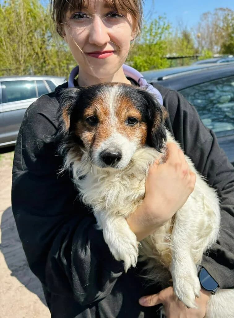 Józek,  (Przytulisko U Wandy)