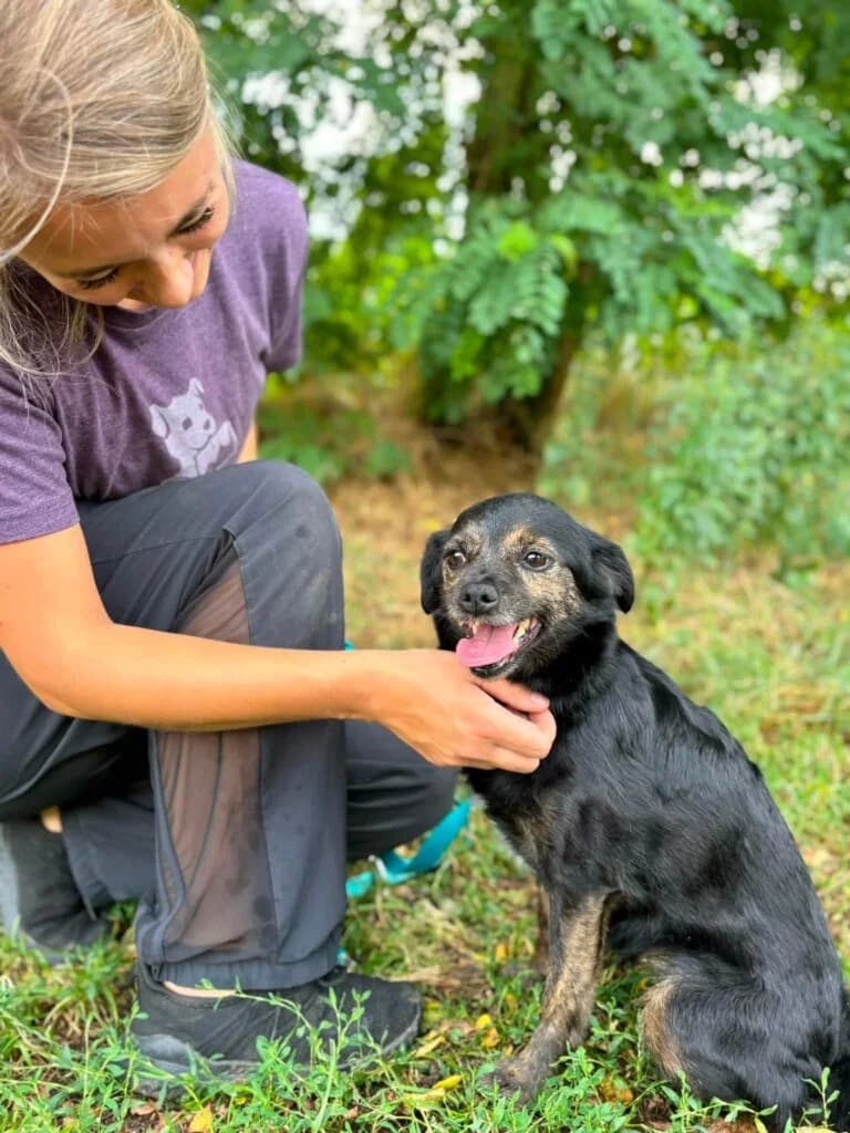 Lodzia, mixed breed for adoption at Przytulisko U Wandy
