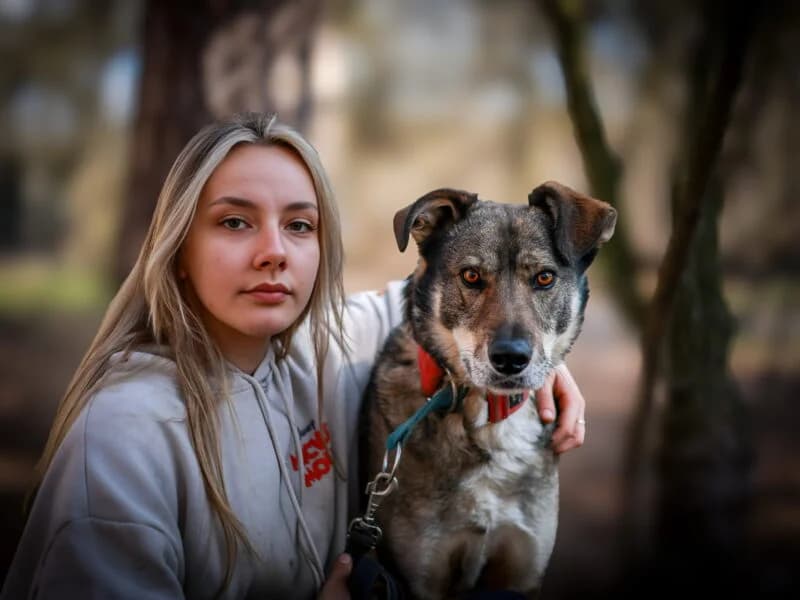 Lord, Mixed Breed (Fundacja Azylu pod Psim Aniolem)