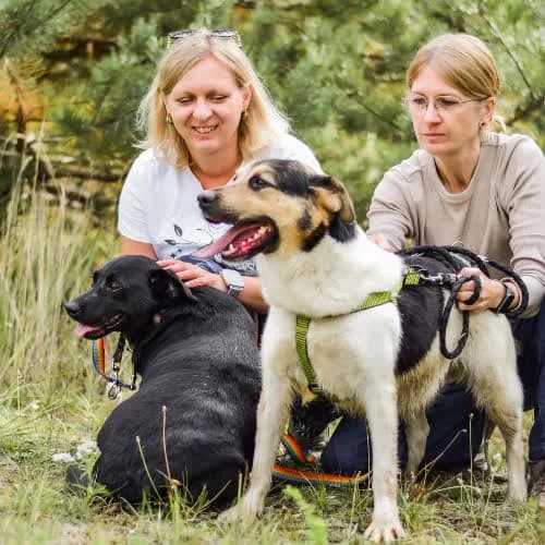 Kluska i Pulpet, female puppy Mixed Breed for adoption at Fundacja Puszatek, Warszawa