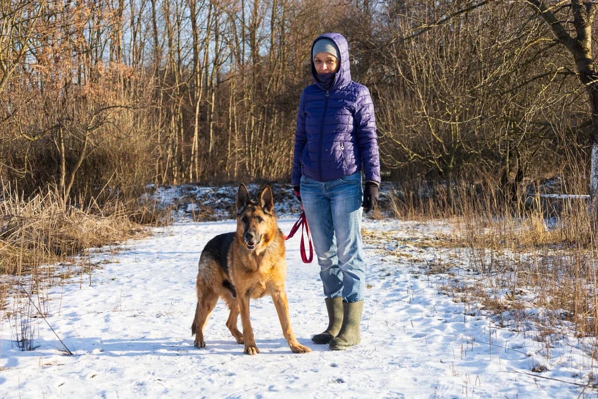 ORTON,  Mixed Breed for adoption at Schronisko dla Zwierząt w Gnieźnie, Gniezno