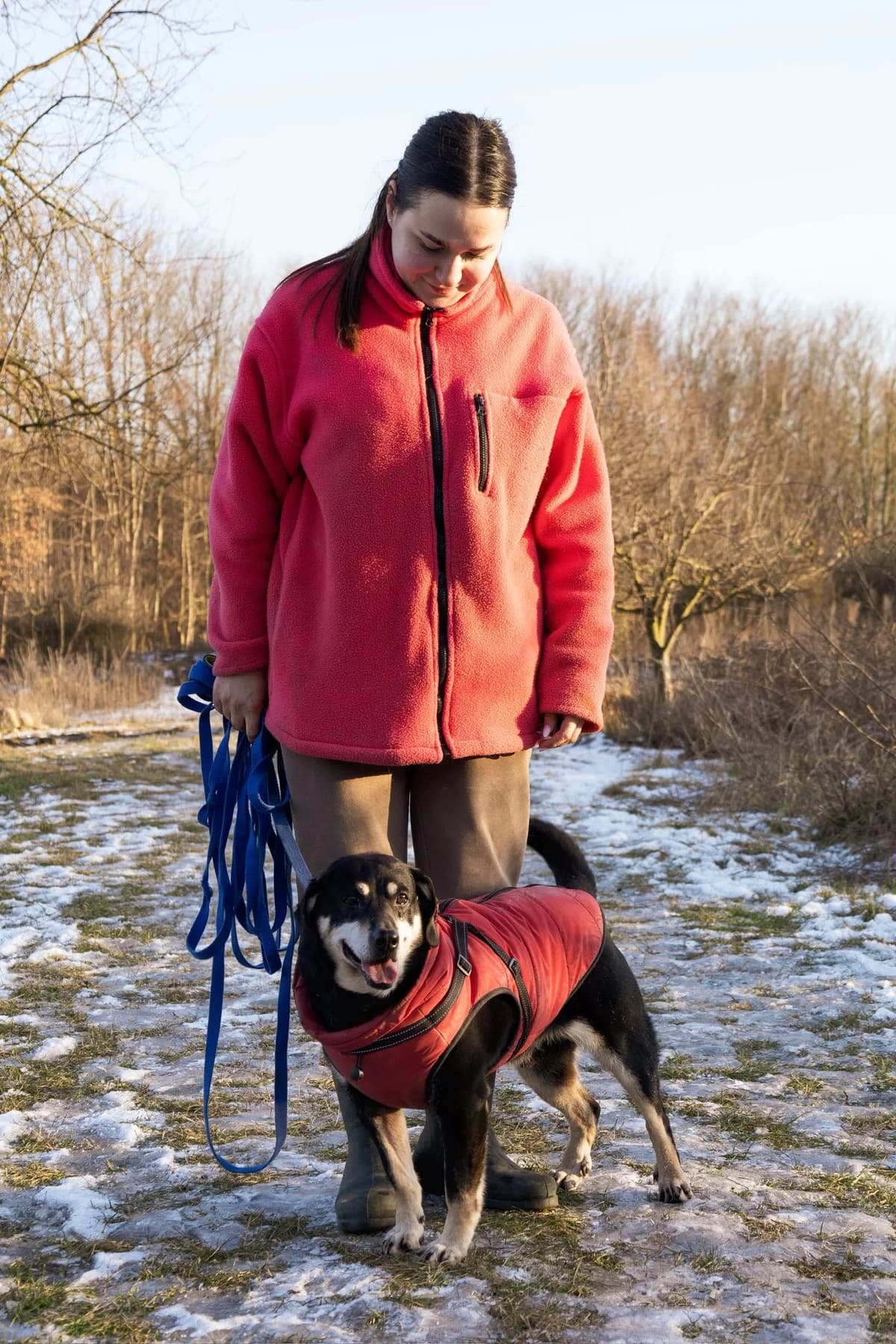 IWO,  Mixed Breed for adoption at Schronisko dla Zwierząt w Gnieźnie, Gniezno