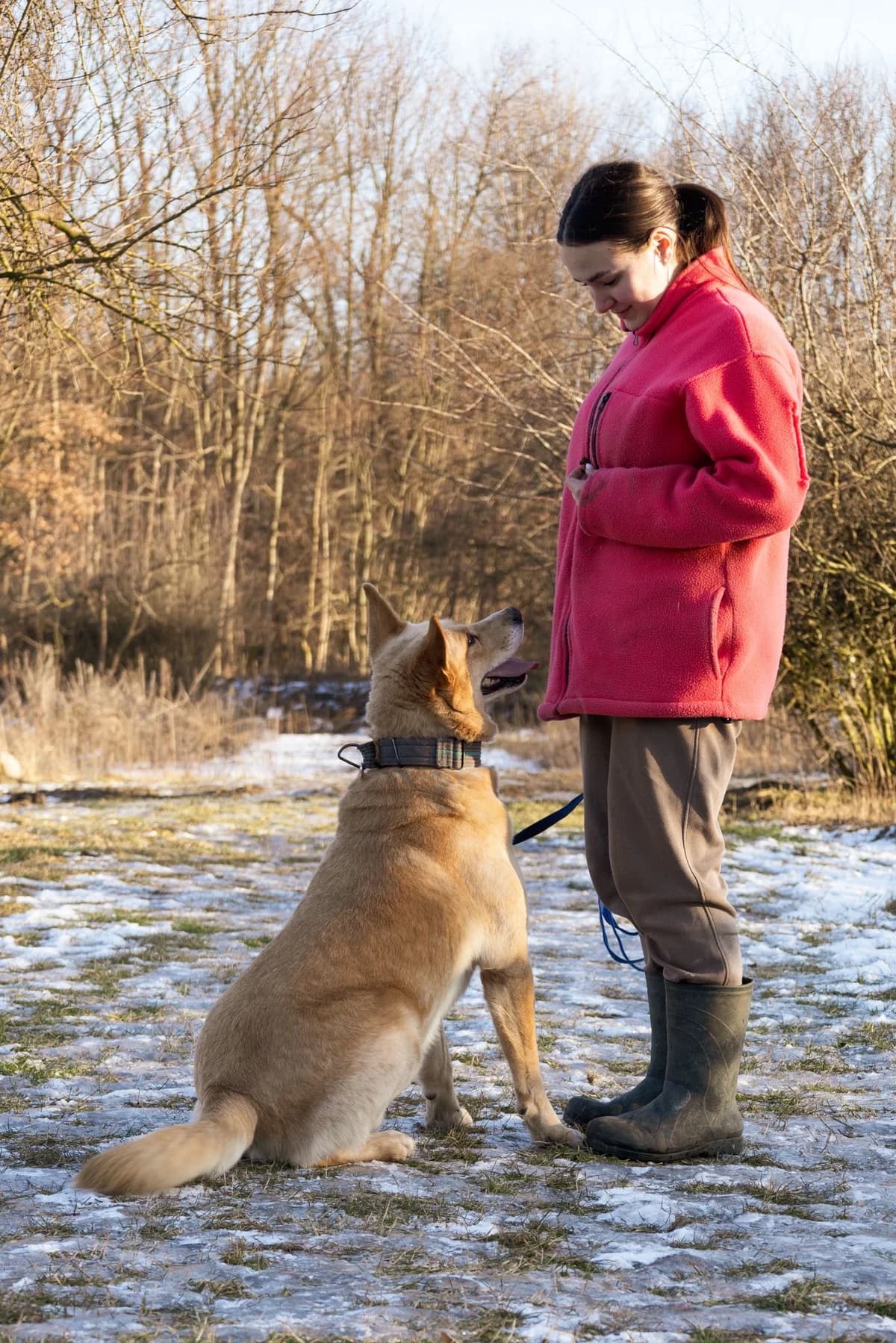 LEVAN,  Mixed Breed for adoption at Schronisko dla Zwierząt w Gnieźnie, Gniezno