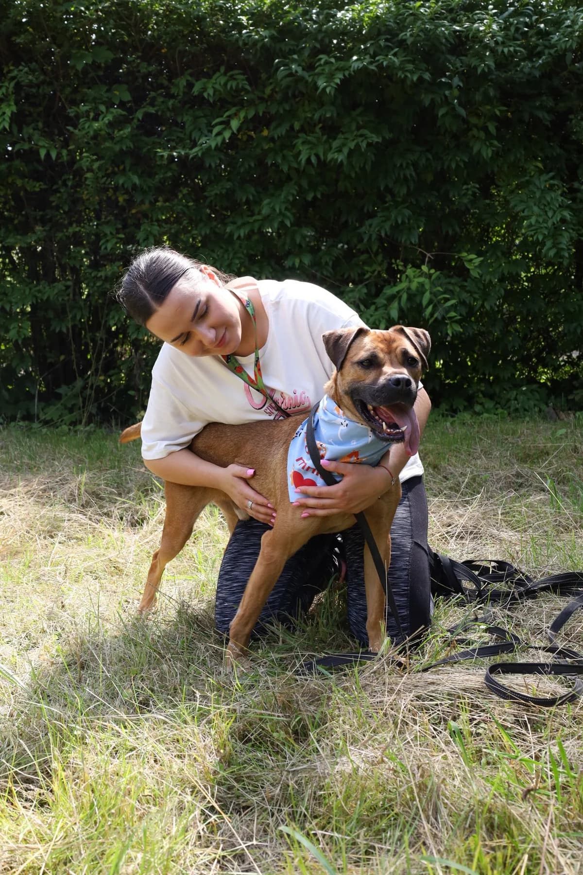 POMPIDOU,  Mixed Breed for adoption at Schronisko dla Zwierząt w Gnieźnie, Gniezno