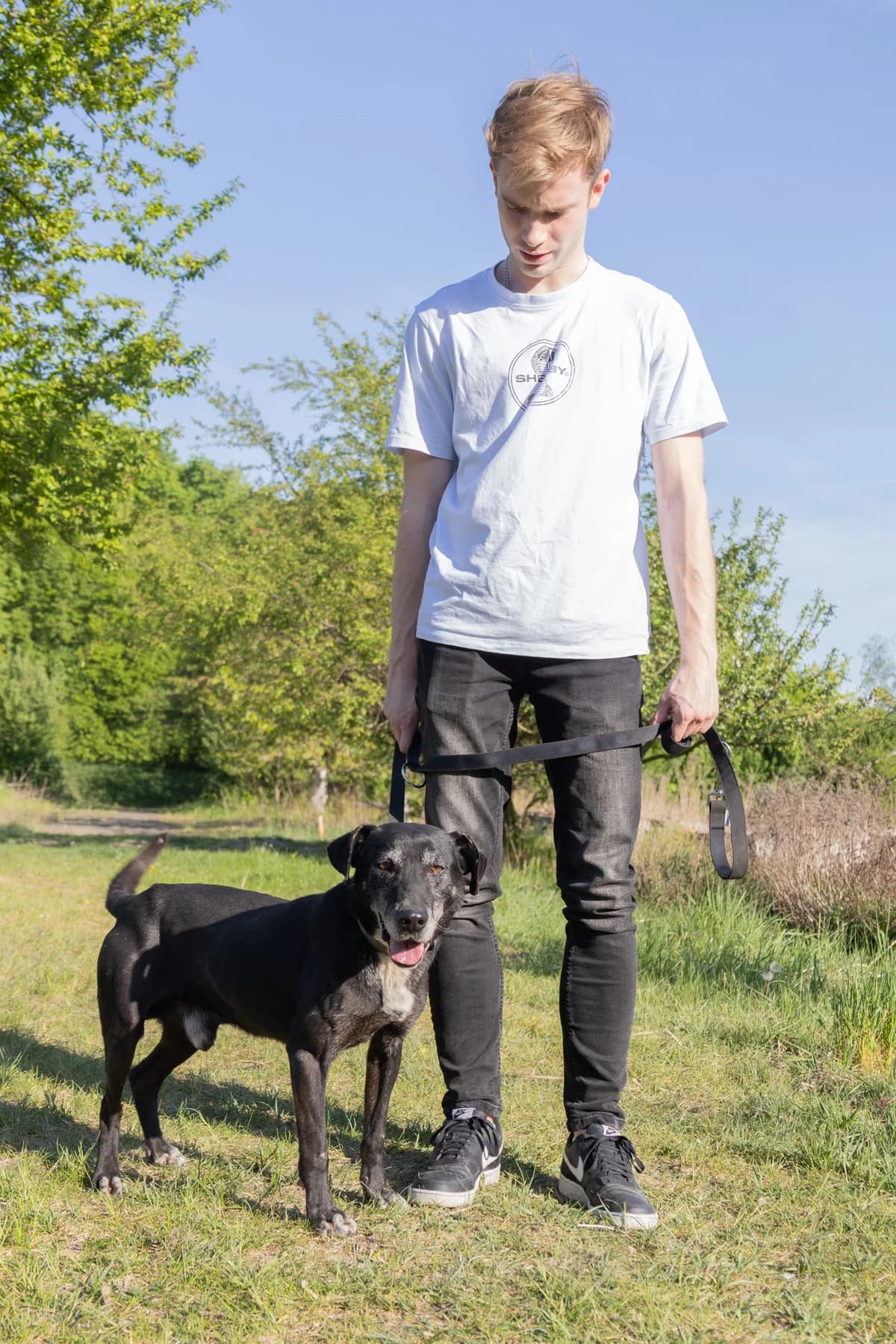 LOGI, Mixed Breed (Schronisko dla Zwierząt w Gnieźnie)