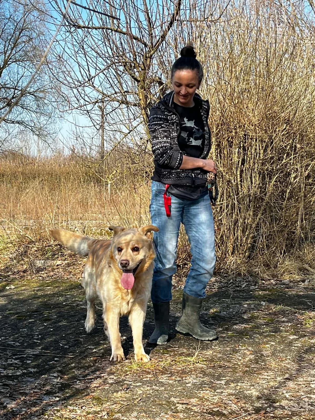 ODI, Mixed Breed (Schronisko dla Zwierząt w Gnieźnie)