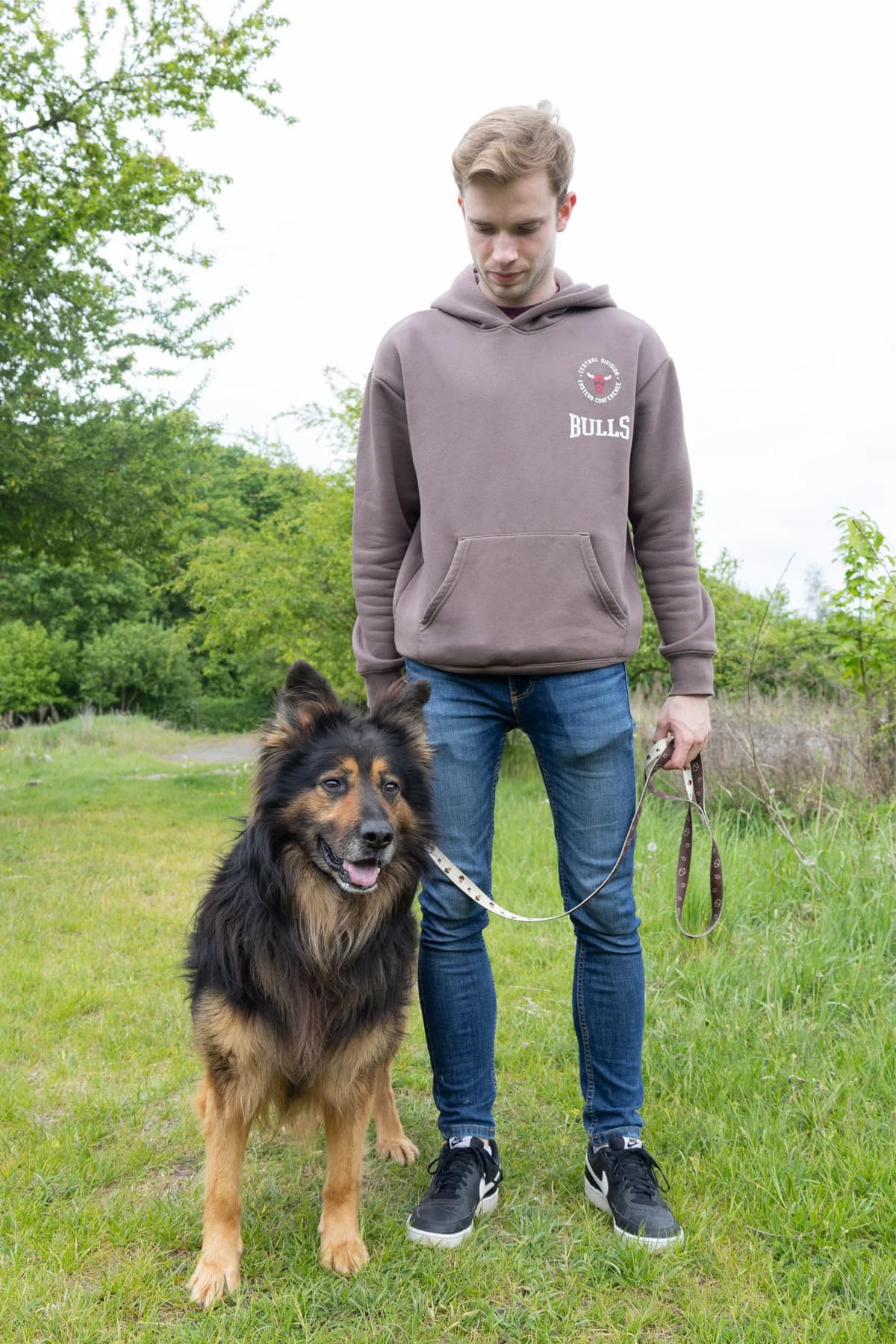 PIORUN, Mixed Breed (Schronisko dla Zwierząt w Gnieźnie)