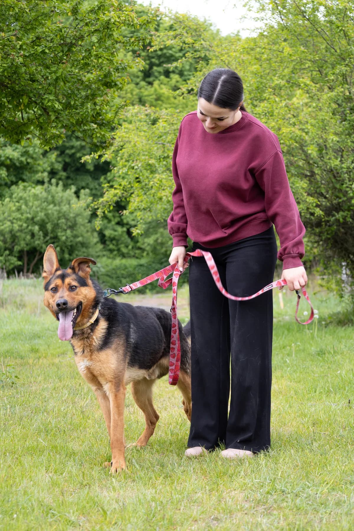 PIKSEL, Mixed Breed (Schronisko dla Zwierząt w Gnieźnie)