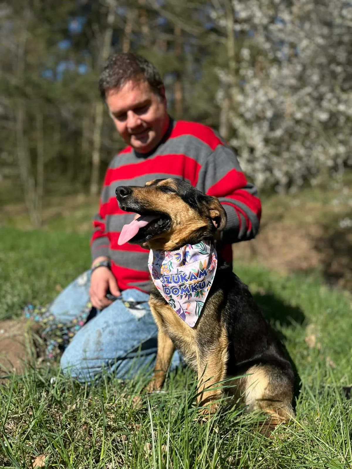 KRUSIU, Mixed Breed (Schronisko dla Zwierząt w Gnieźnie)