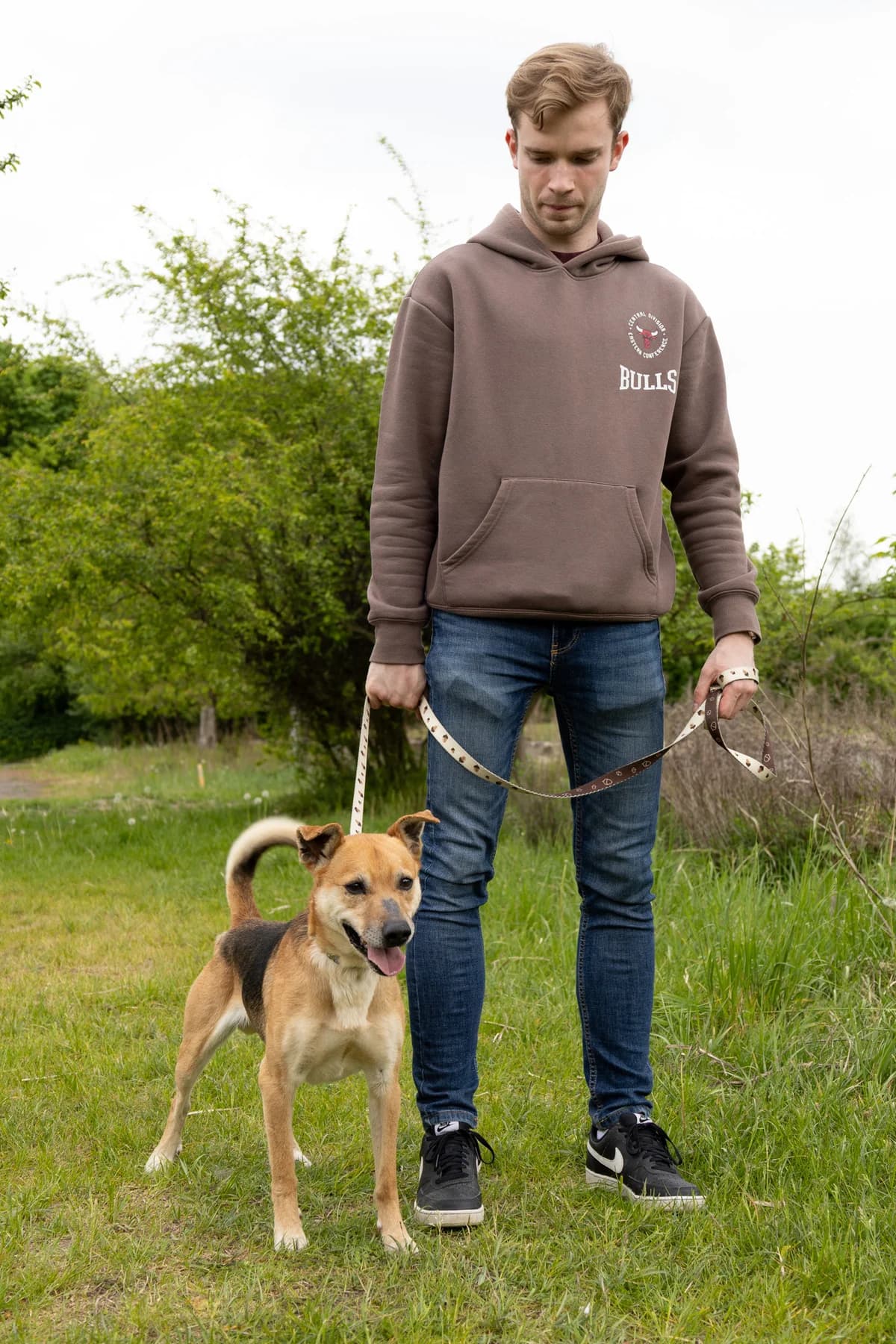 MARSHALL, Mixed Breed (Schronisko dla Zwierząt w Gnieźnie)