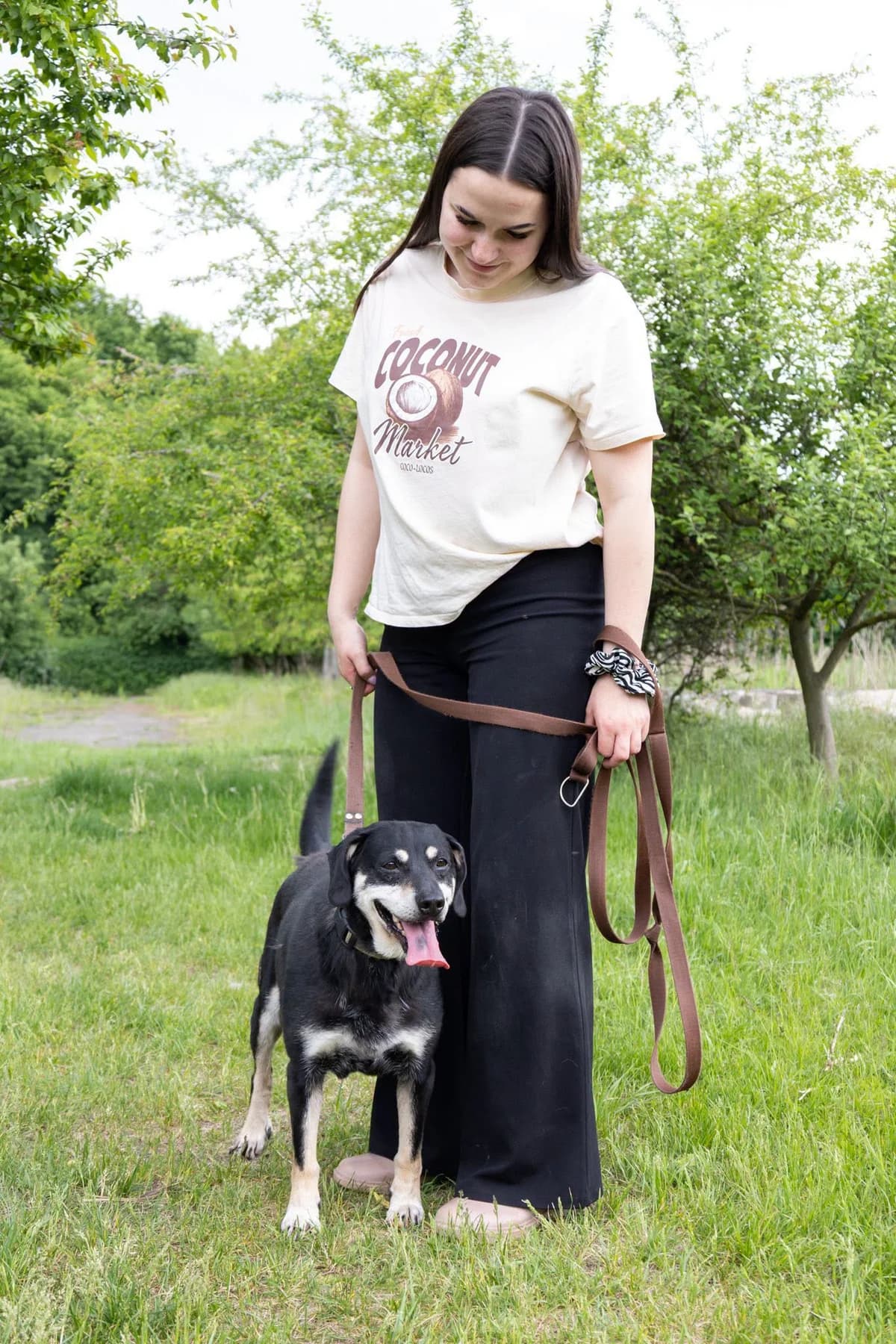 IWO,  Mixed Breed for adoption at Schronisko dla Zwierząt w Gnieźnie, Gniezno