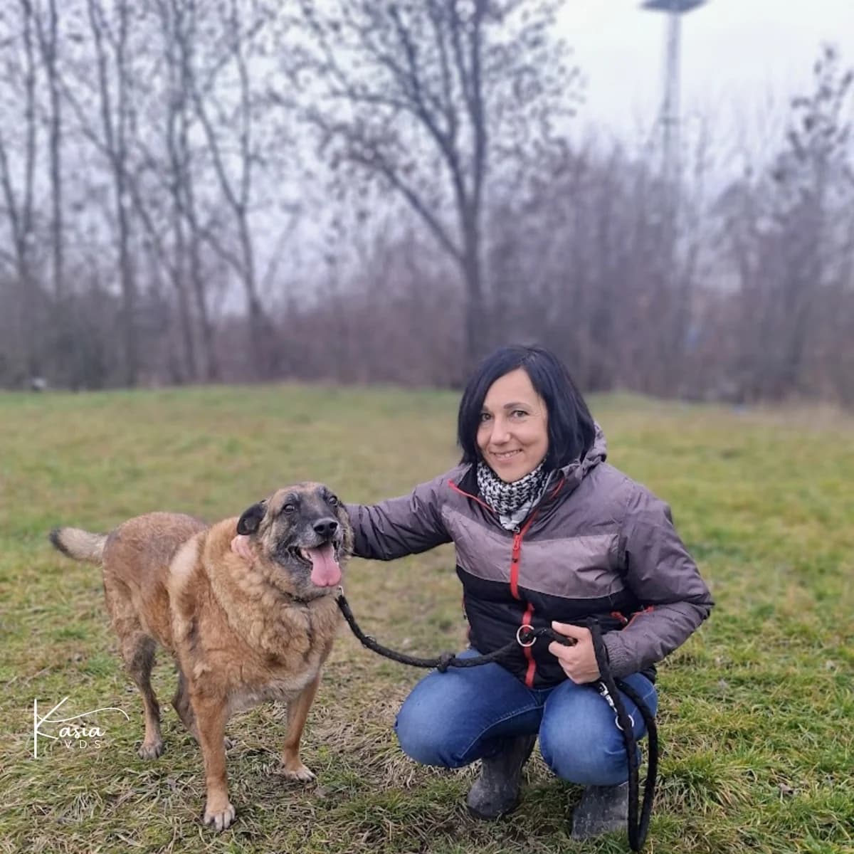 Donat, female young Mixed Breed for adoption at Schronisko Opole