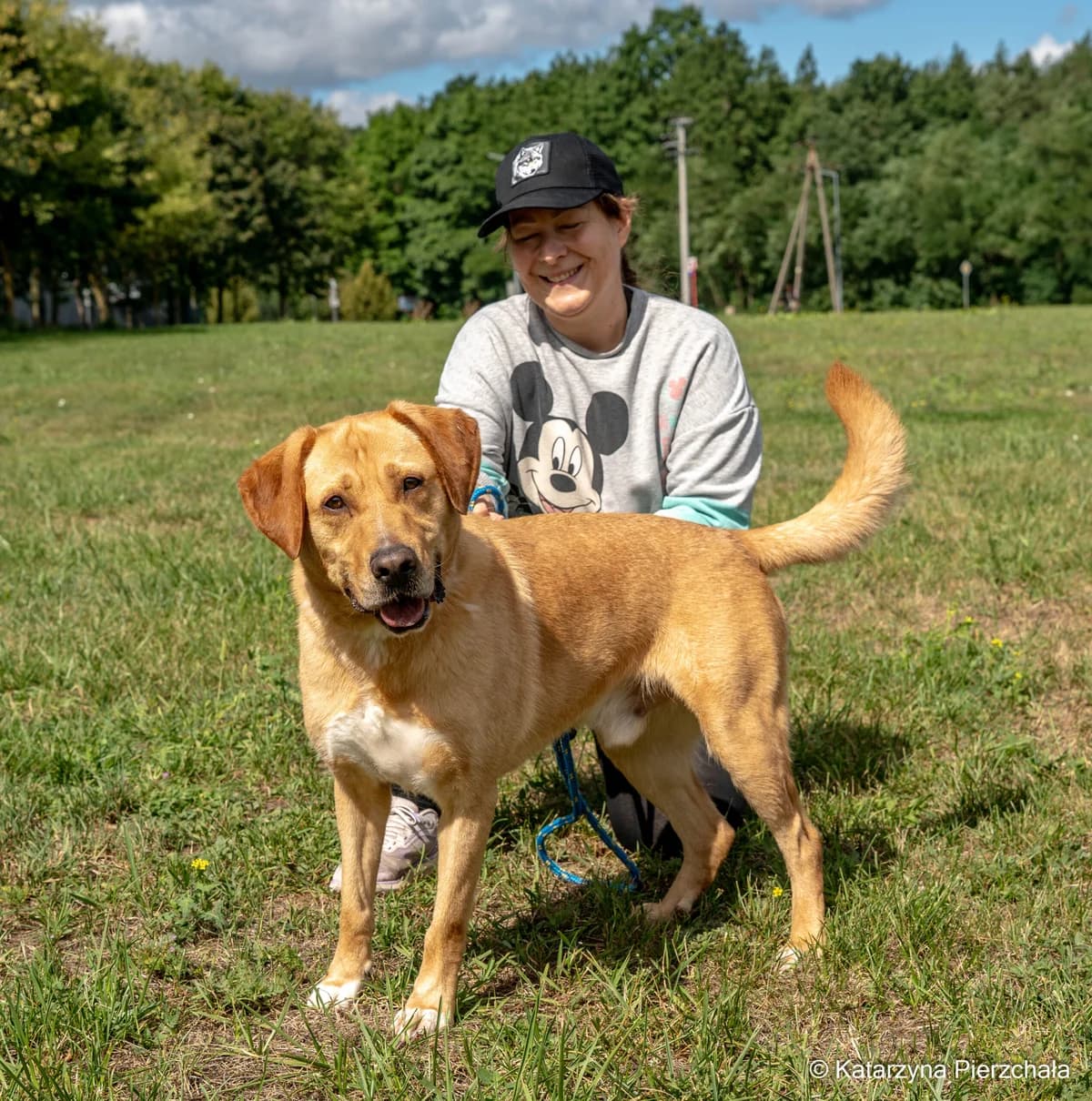 Codi, male 3yo Mixed Breed for adoption at Schronisko Radom, Radom