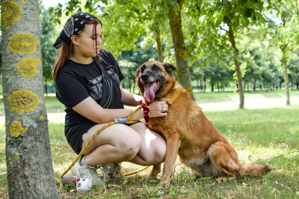 Koka, Mixed Breed for adoption at Schronisko Radom, Radom