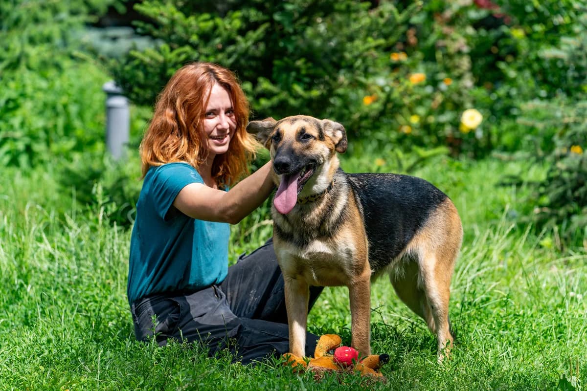 Dalila, Mixed Breed (Fundacja Wzajemnie Pomocni)