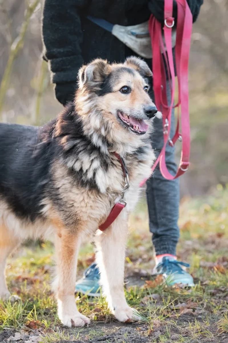 Vlad z Ukrainy photo 4